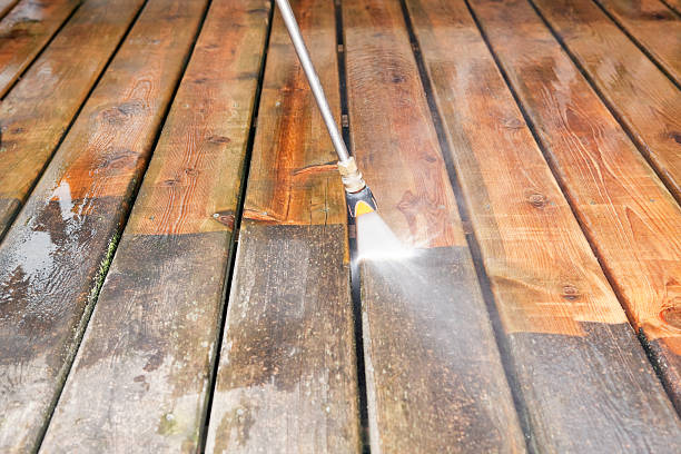 Best Solar Panel Cleaning  in Neuse Forest, NC